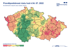 Pravděpodobnost růstu hub, 4. 7. 2022