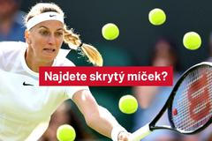 Najdete skrytý míček?