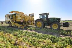 Sklizeň raných brambor, pole, zemědělec, zemědělství, brambory, Farma Zálezlice, Agrární komora