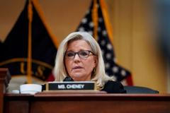 Liz Cheneyová, USA