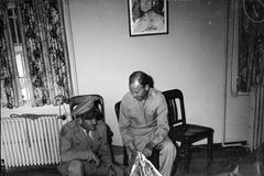 Roswell incident, UFO, Světový den UFO, Mezinárodní den UFO, Neidentifikovaný létající předmět