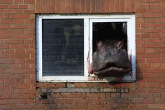 Zoo praha povodně 2002