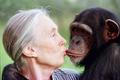 Jane Goodallová, šimpanzice Tess, 1997