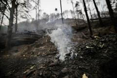 Foto, požár, Hřensko, Léto 2022