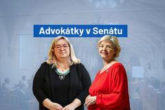Advokátky v Senátu - Poutak
