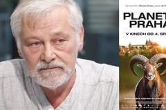 Lidé jsou k přírodě nevšímaví. Praha očima zvířat je úplně jiná, říká režisér Hošek