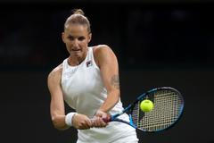 Karolína Plíšková v 1. kole Wimbledonu
