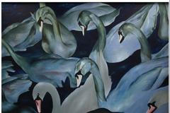 Jiří David, Labutě v noci