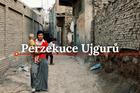 poutání speciálu - Perzekuce Ujgurů
