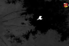 Policie našla dvouletého chlapce, který se ztratil v Orlických horách