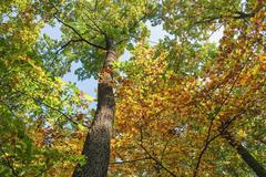 Podzim 2022 - fotogalerie