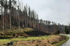 České Švýcarsko, požár, listopad 2022