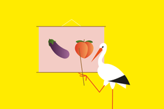 Chytré Česko - sexuální výchova