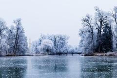 Lednické rybníky, národní přírodní rezervace, Jižní Morava, Lednice, ochrana životního prostředí, příroda