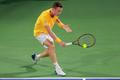 ATP 500 - Dubai Tennis Championships