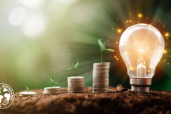 BO_Unicorn_EirGrid_poutaci