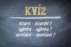 Kvíz: Bizarní, nebo bizardní? Poutak