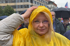 Názory z protivládního Václaváku V.