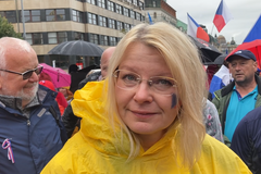 Názory z protivládního Václaváku VII.