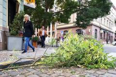 Vítr / Karlín / Popadané větve / Ilustrační snímek