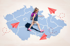 Chytré Česko - Ikona