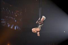 Pink, zpěvačka, 2014