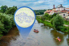 Čistá Vltava, špinavá jižní Morava - ikona