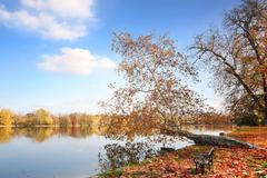 Evropský strom roku