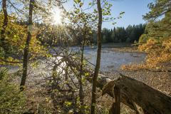 Podnikatel Jan Čulík, Tábor, výlov kaprů, biokapr, vaření, kuchyně, restarauce, gastro, podzim, ilustrační foto, počasí