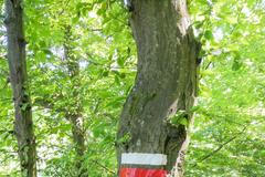 Klub českých turistů, turismus, Československo, turistika, Domácí