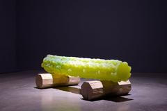 Rony Plesl: Stromy rostou z nebe, Museum Kampa, 2023