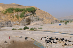 Neúrodný půlměsíc za mizející vodou Eufratu a Tigridu