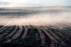 Jižní Afrika, 1984, sucho