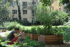 zahrada, pěstování, komunita, komunitní, bieno, vnitroblok