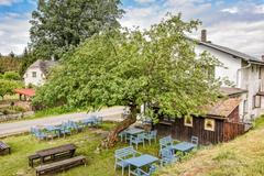 Strom roku 2020 - Jabloň u Lidmanů