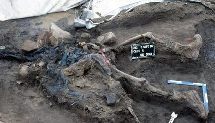 Spotlight Aktuálně.cz - Vladimír Dzuro