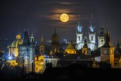 Top foto 2022 - Radek Vnenčák, fotogalerie nejlepších snímků roku