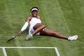 Wimbledon 2019: Venus Williamsová