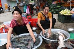 Vietnam, Blue Dragon