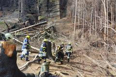 hasiči, České Švýcarsko, požár, hašení