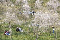 jaro počasí Praha stromy