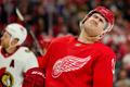 NHL Detroit Red Wings