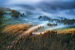 Krkonoše, KRNAP, národní park, hory, Česko, domácí, příroda