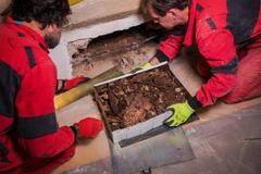 Jindřich Librarius, průzkum, archeologie