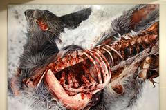 Barbora Kysilková, vernisáž Za školou