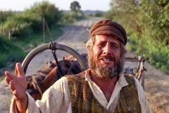 Chaim Topol, Šumař na střeše