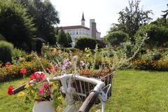 Na zahradě v Domově sv. Karla Boromejského