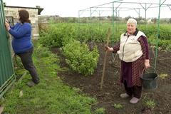 Ukrajinci 10 kilometrů od frontové linie okopávají záhony