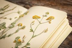 Kvíz - Herbář ze základní školy