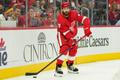 Detroit Red Wings defenseman Filip Hronek